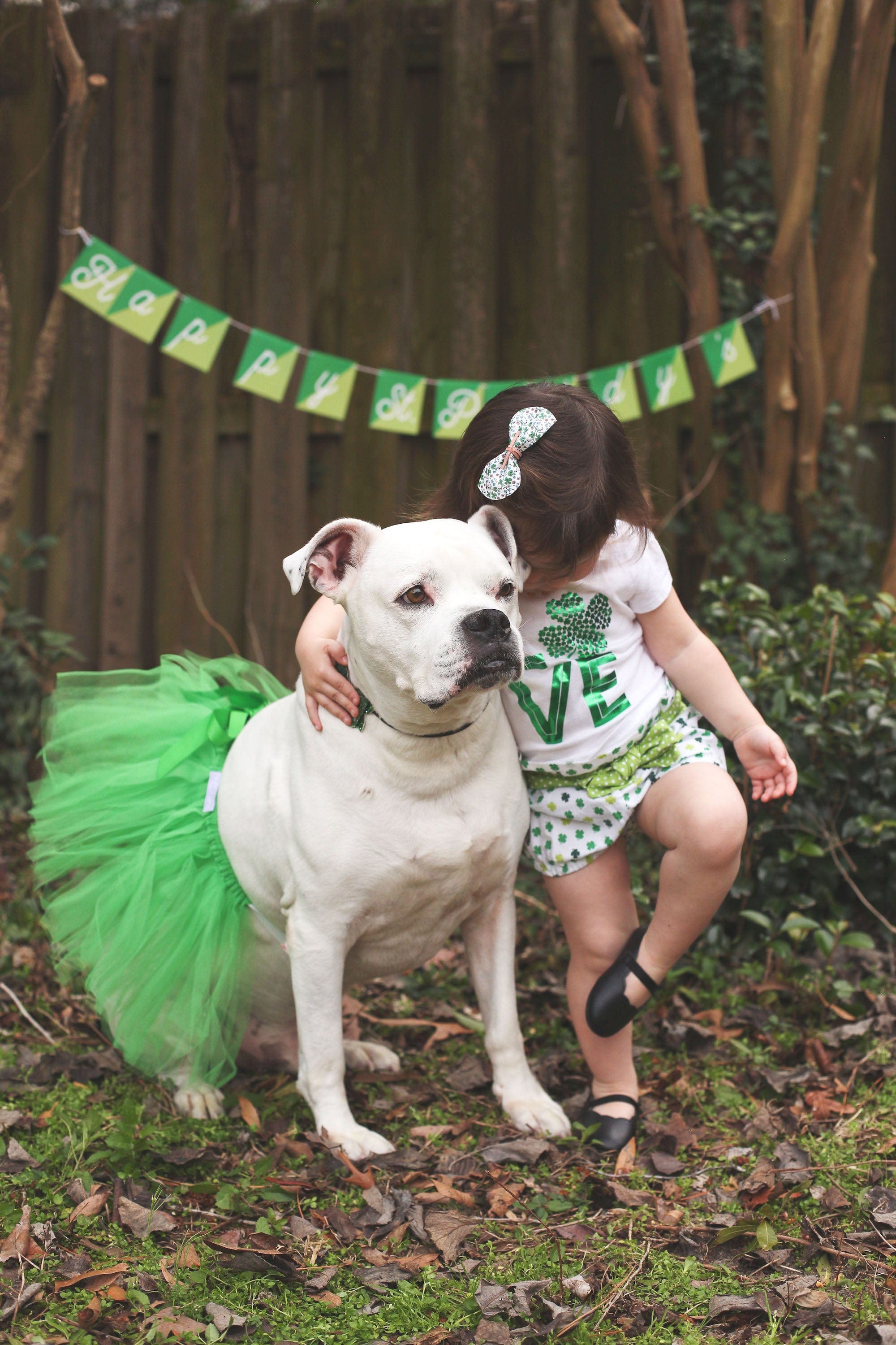 Green Christmas Dog Tutu Skirt (XXXL) Green Christmas Dog Tutu Skirt (XXXL)