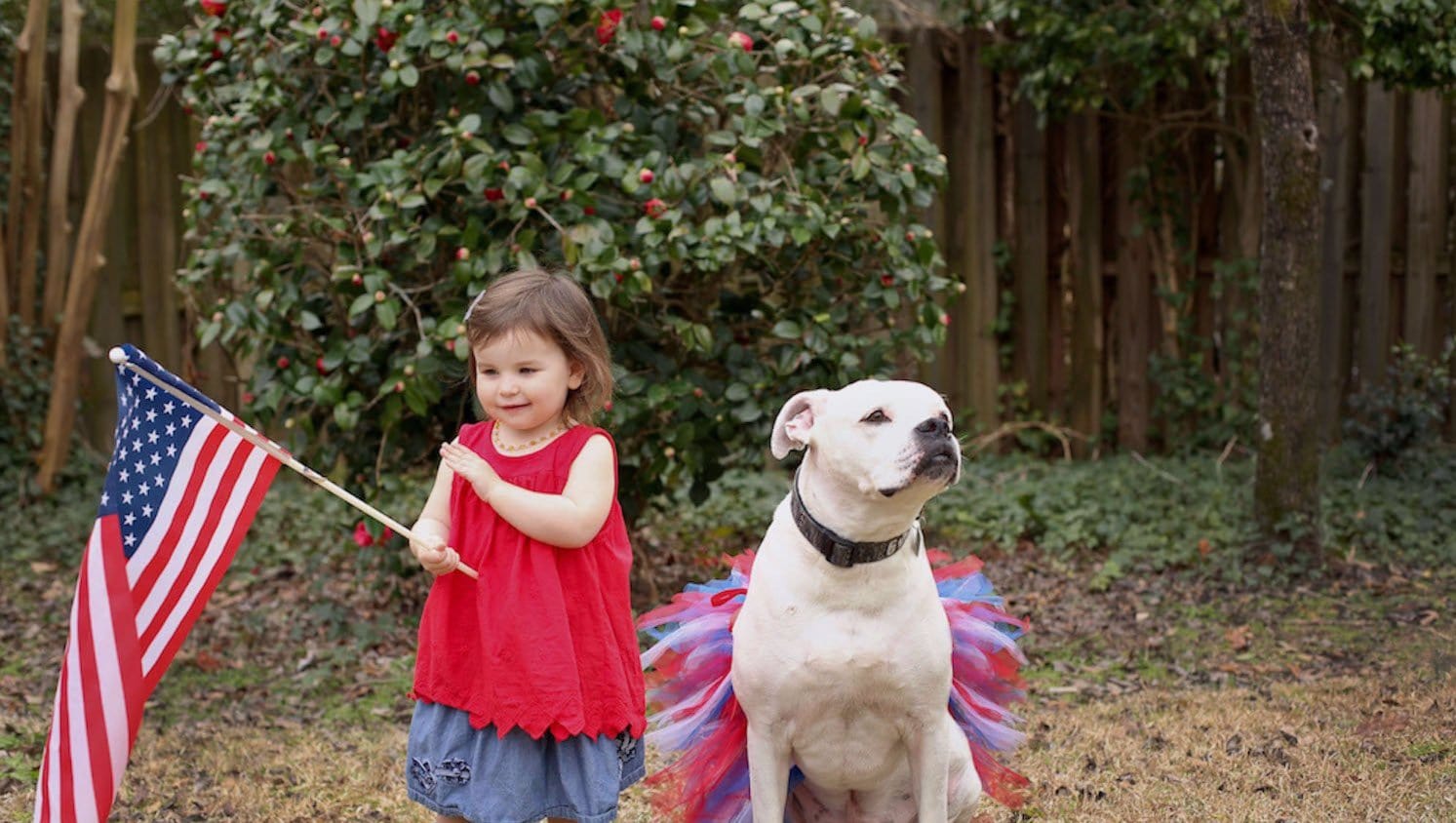 tutu joli 4h of July dog tutu skirt, red white and blue dog tutu xs, blue dog tutu s, red dog tutu size m, white dog tutu size L, independence day dog tutu size xl, large dog tutu size xxl, 4th of july dog tutu size xxxl. large dog tutu american holiday, dog 4th of july tutu and accessories, dog running outfit, american flag pet tutus, american pet costume, pet dress red white blue, halloween dog tutu, birthday tutu for dogs, christmas tutu for dogs, dog christms stuffers