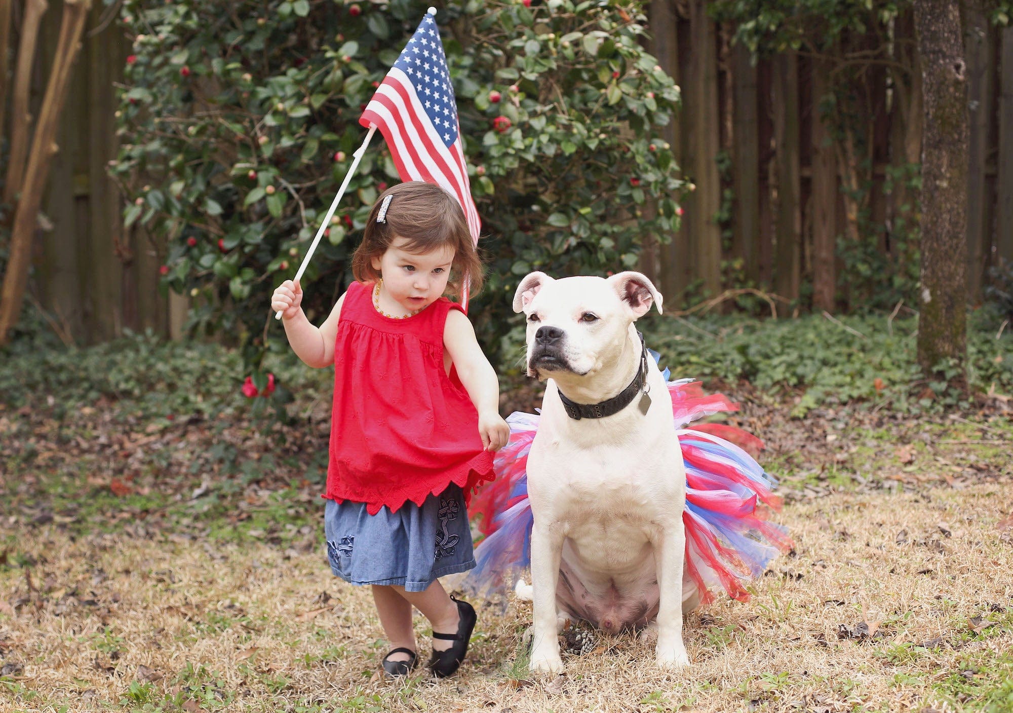 tutu joli 4h of July dog tutu skirt, red white and blue dog tutu xs, blue dog tutu s, red dog tutu size m, white dog tutu size L, independence day dog tutu size xl, large dog tutu size xxl, 4th of july dog tutu size xxxl. large dog tutu american holiday, dog 4th of july tutu and accessories, dog running outfit, american flag pet tutus, american pet costume, pet dress red white blue, halloween dog tutu, birthday tutu for dogs, christmas tutu for dogs, dog christms stuffers