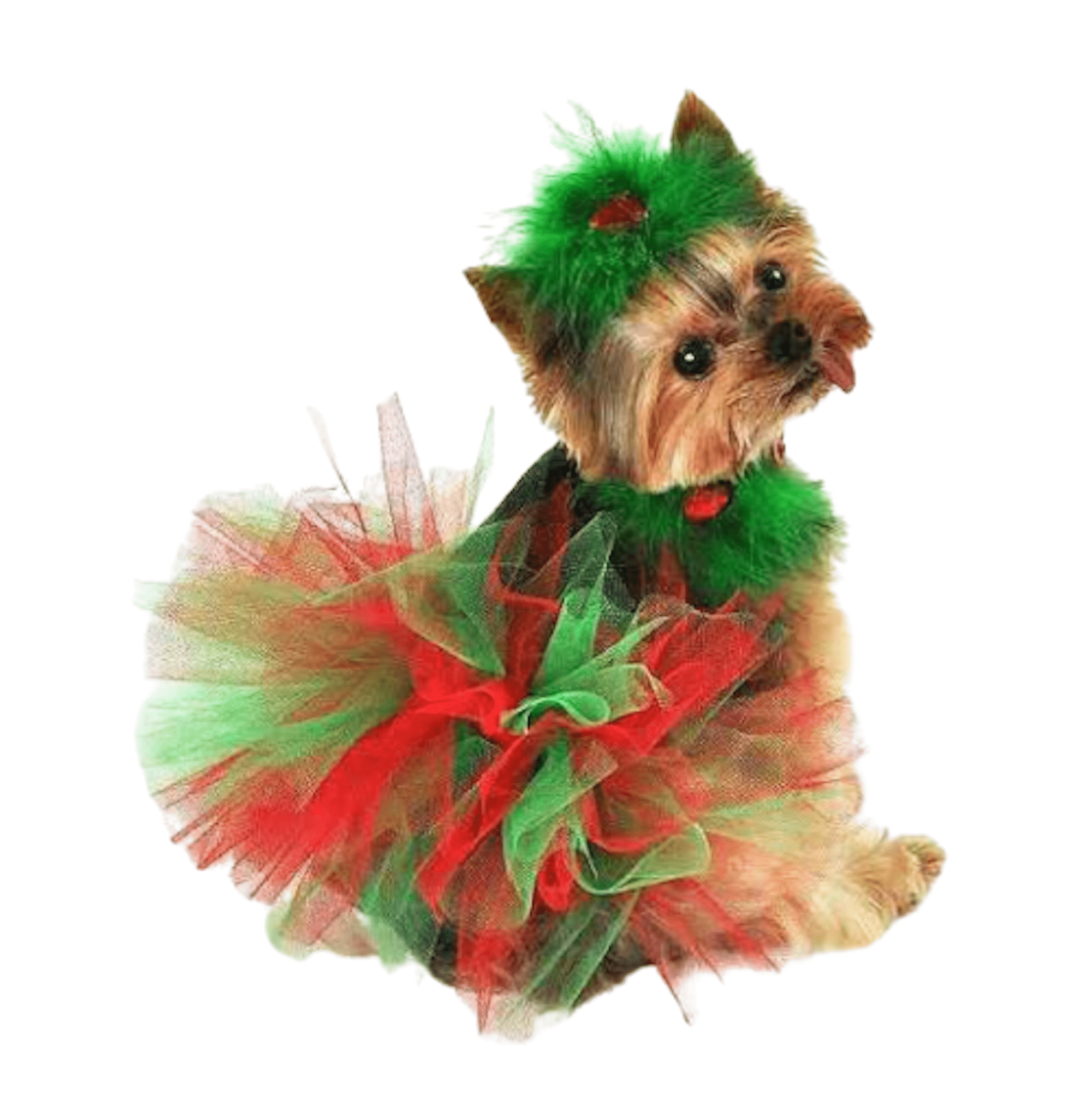 Dog christmas tutu on sale